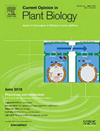 CURRENT OPINION IN PLANT BIOLOGY雜志封面